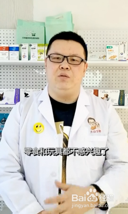 狗狗怎样的行为是记仇呢