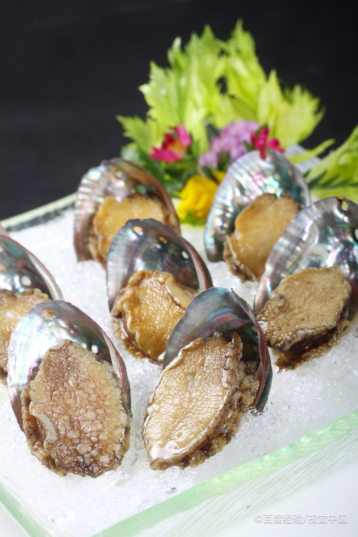 鲍鱼的营养及功效与作用