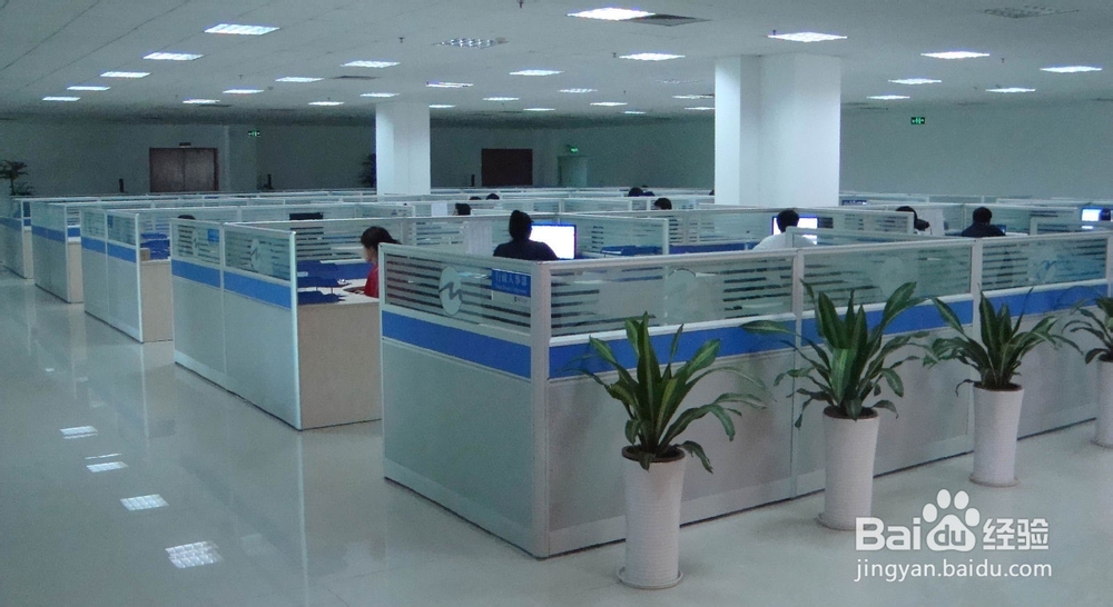 新人行我该选择大公司还是小公司?