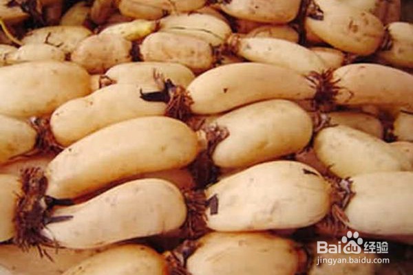 适合夏季养胃吃的12种食物