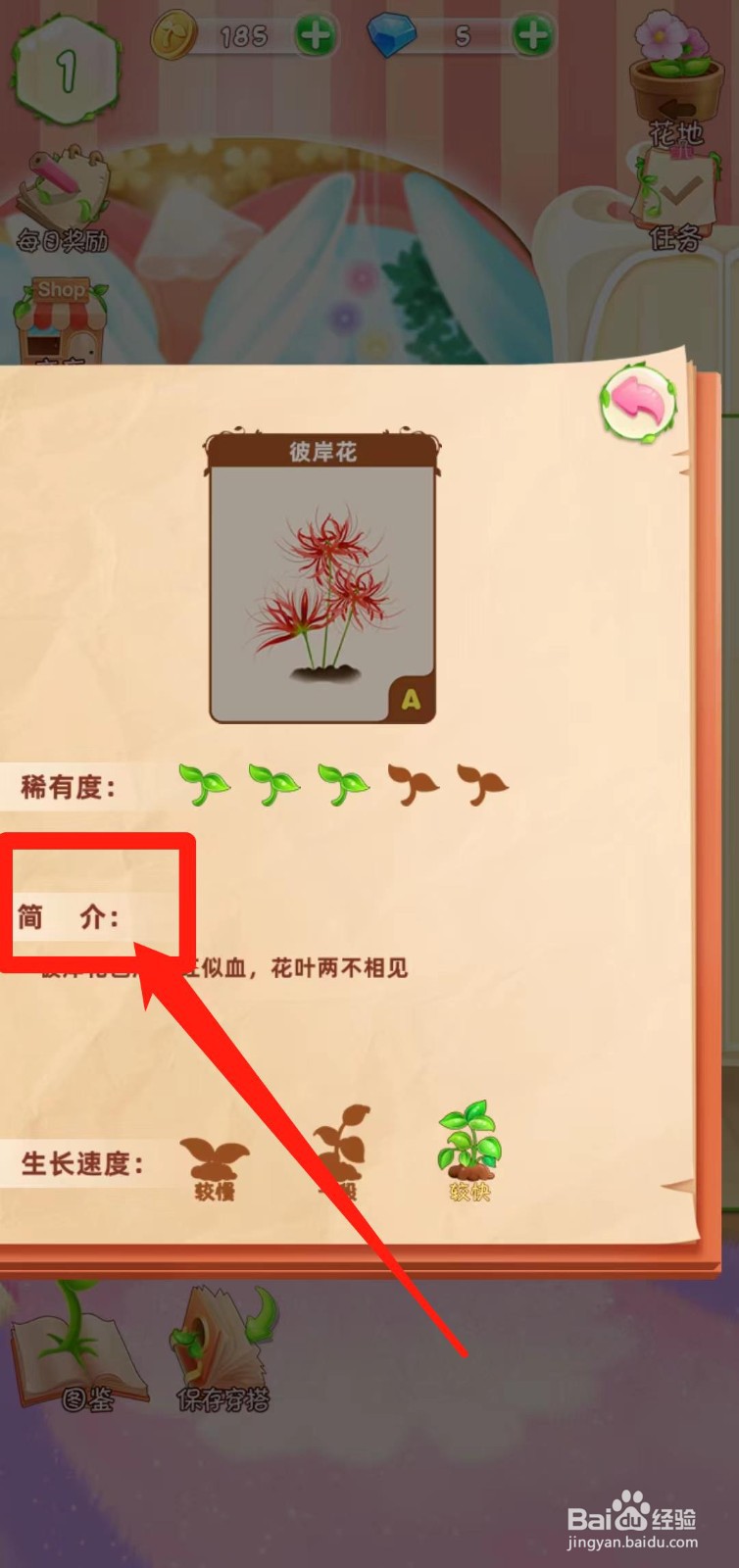 花花姑娘之魔法花园如何查看彼岸花简介