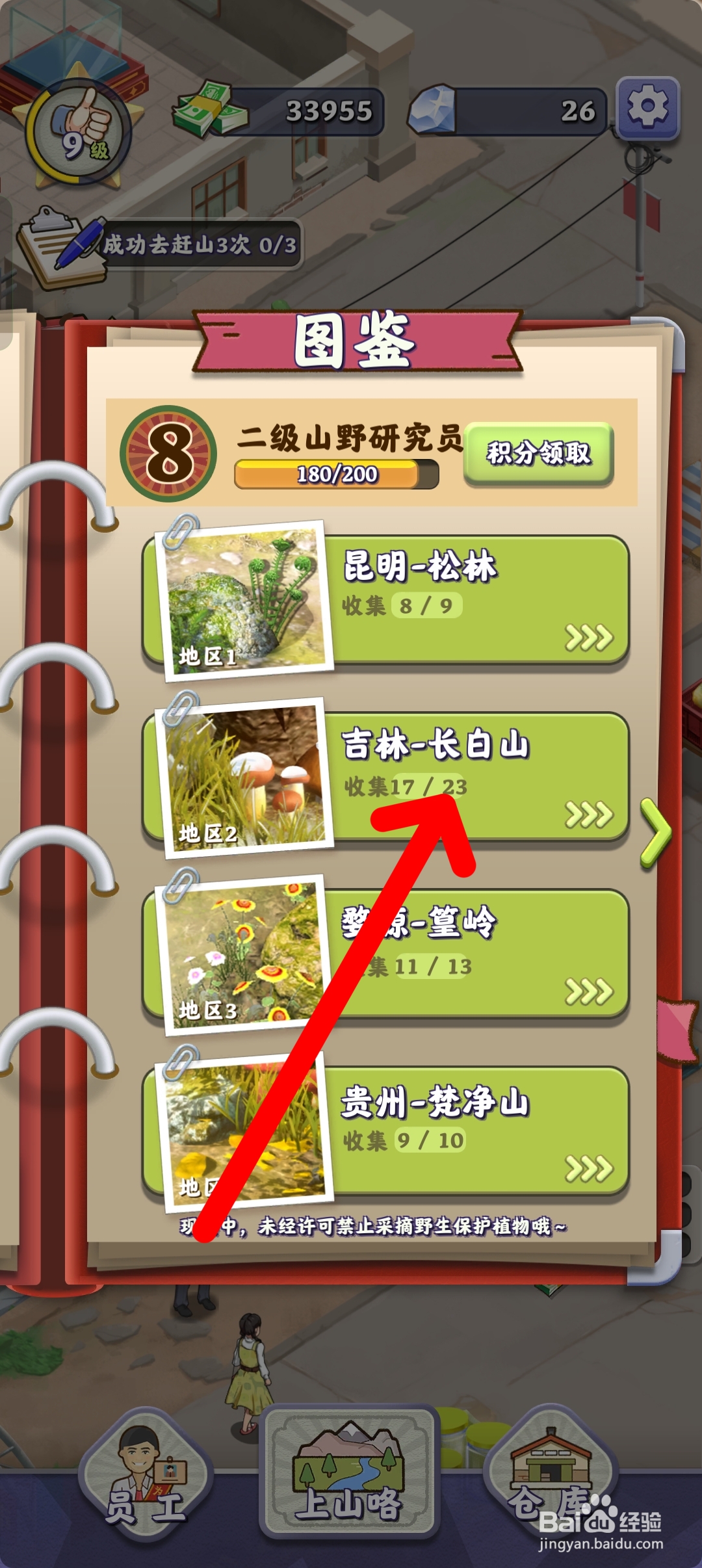 夺笋高手在哪里查看四匹叶人参图鉴