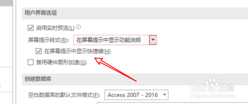 Access数据库怎么设置在屏幕提示中显示快捷键？