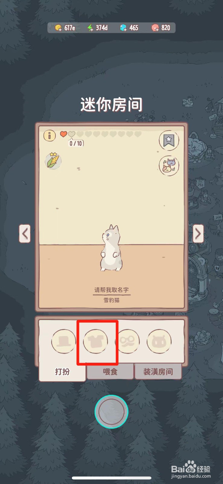 猫咪和汤如何给猫咪穿戴羽毛