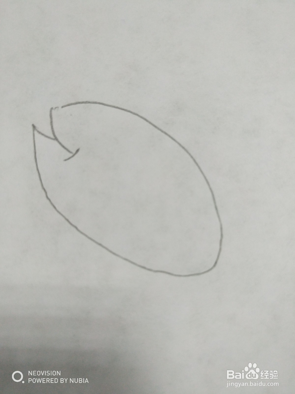 简单的小鱼怎么画（十）