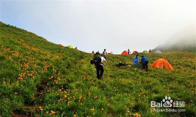 河北灵山风景区旅游怎么样