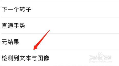 iPhone旁白检测到文本与图像怎么设置