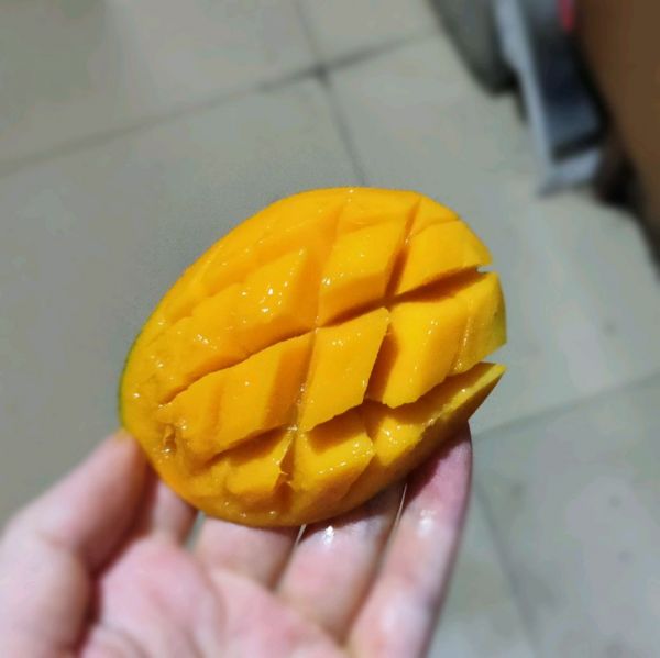 无奶油水果蛋挞