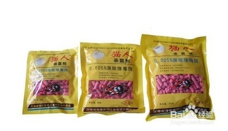 教你如何赶走家里的老鼠