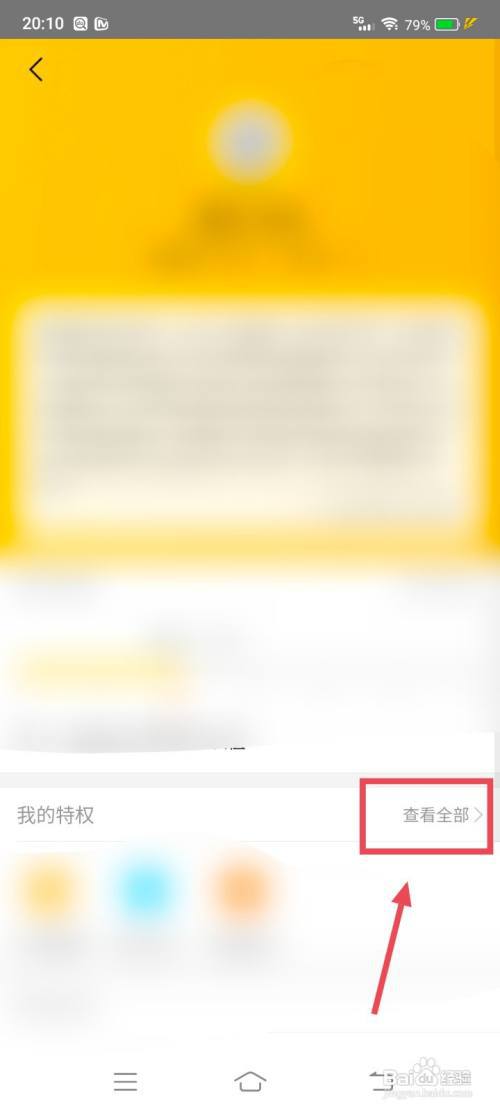 美团怎么查我的特权?