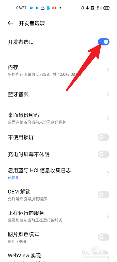 真我手机在哪里开启开发者选项功能