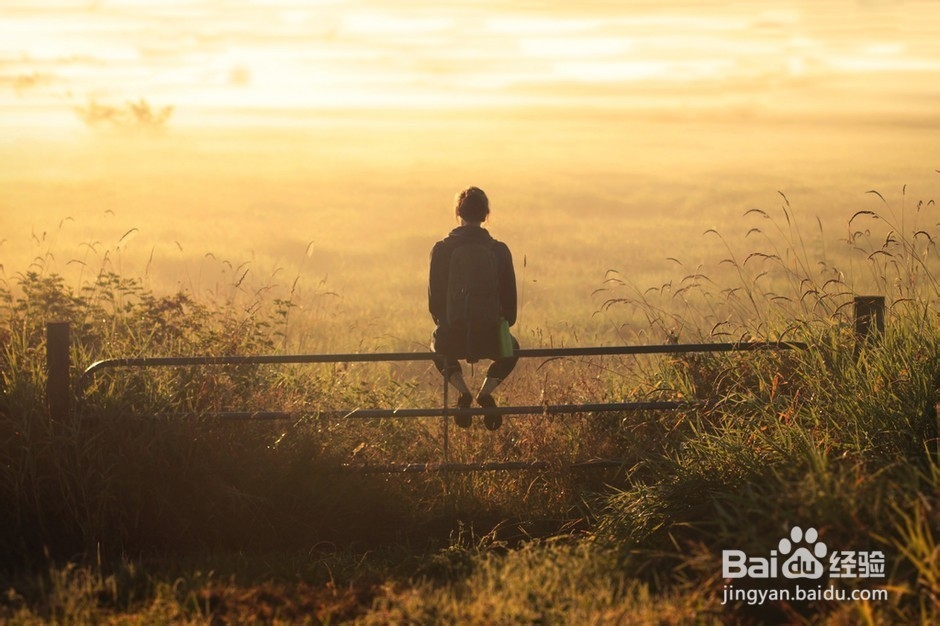 正确解读心灵鸡汤