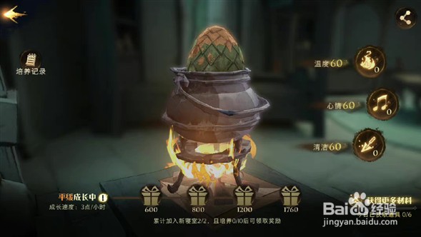 哈利波特魔法觉醒寝室龙蛋玩法