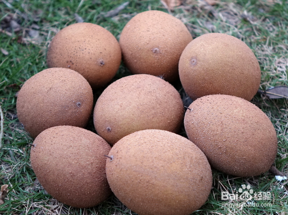 吃人心果的好处和坏处