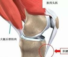 髌骨软化症可以走路吗