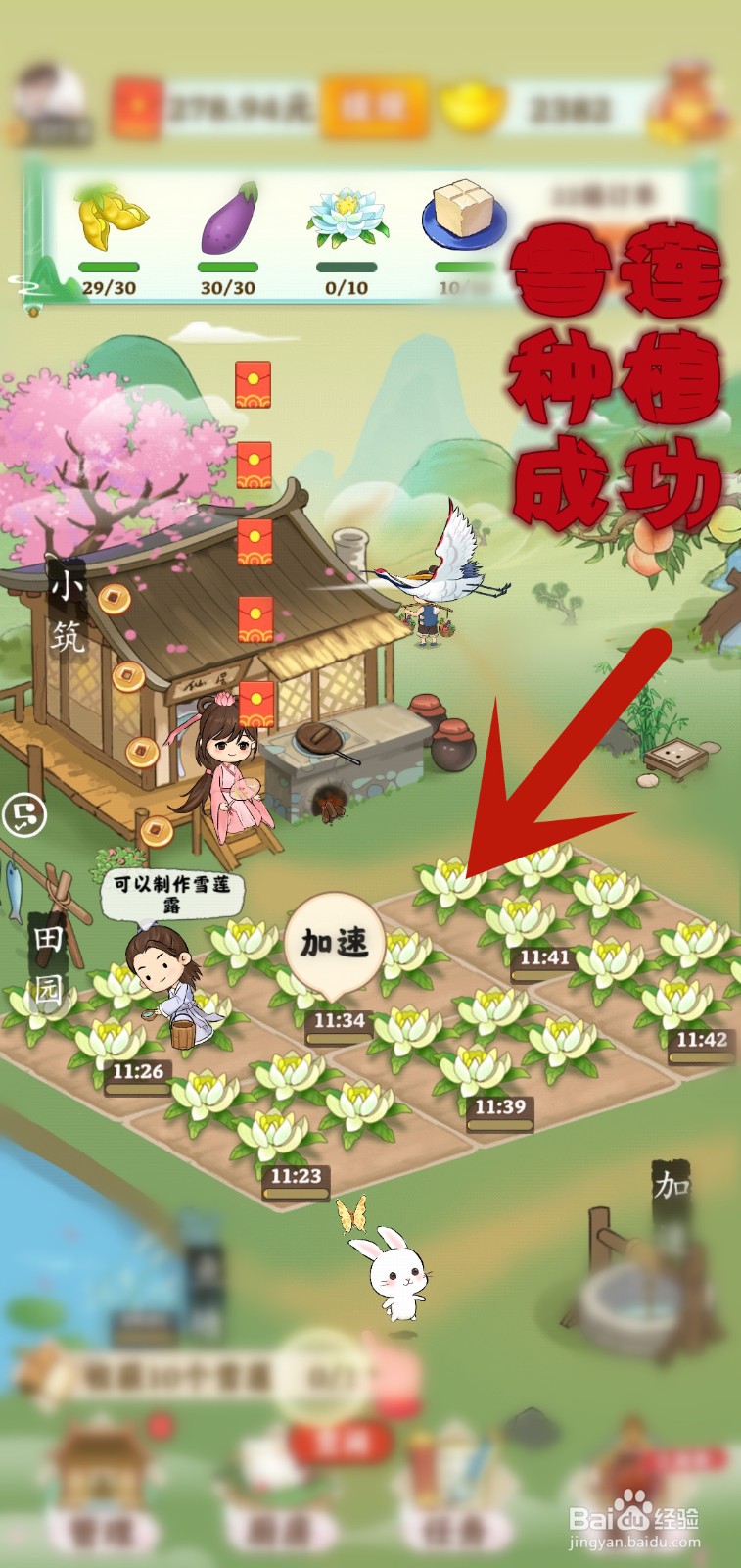 仙山小筑游戏怎么解锁雪莲种植