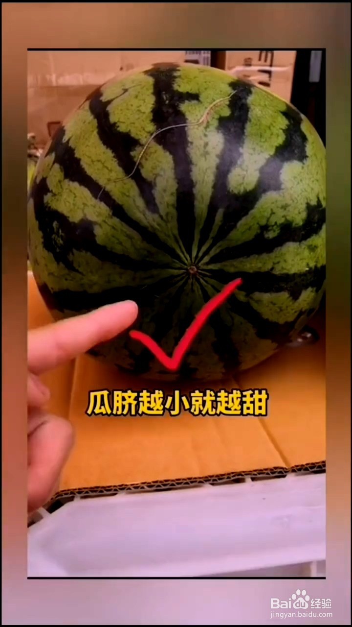如何挑选西瓜