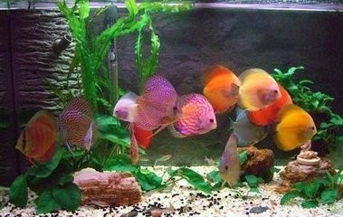 怎么避免意外中毒?