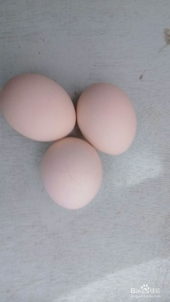 怎样做蛋羹:枸杞蛋黄羹