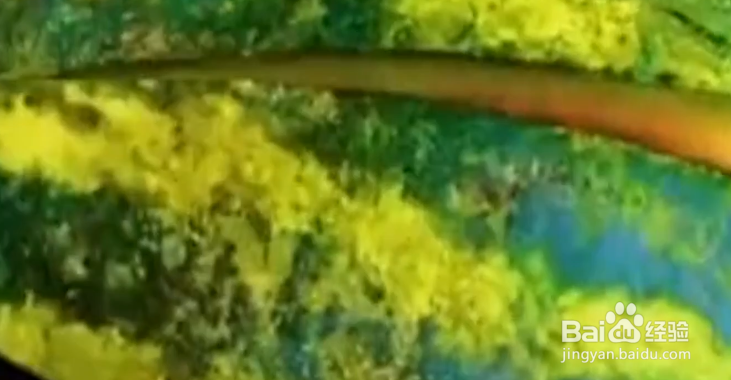 如何学习吃水果的小技巧？