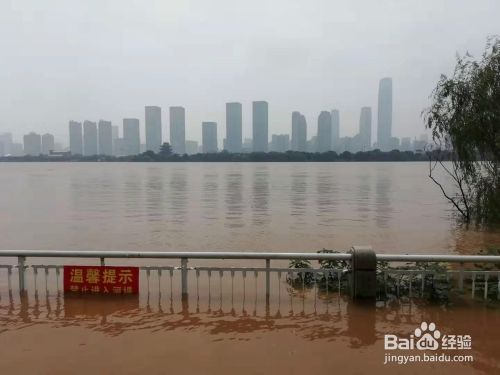湘江长沙段洪水洪峰奇观散记