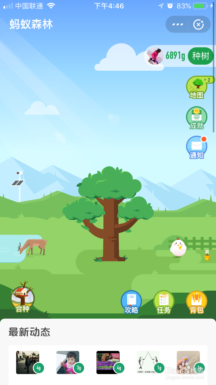 蚂蚁森林怎么玩的
