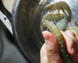 简单快手而又酥香有嚼劲的椒盐虾