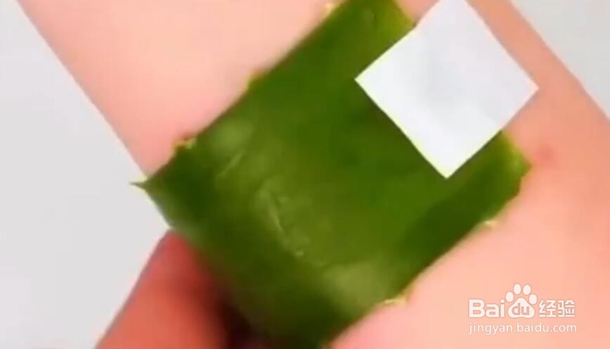如何使用芦荟胶的隐藏功能