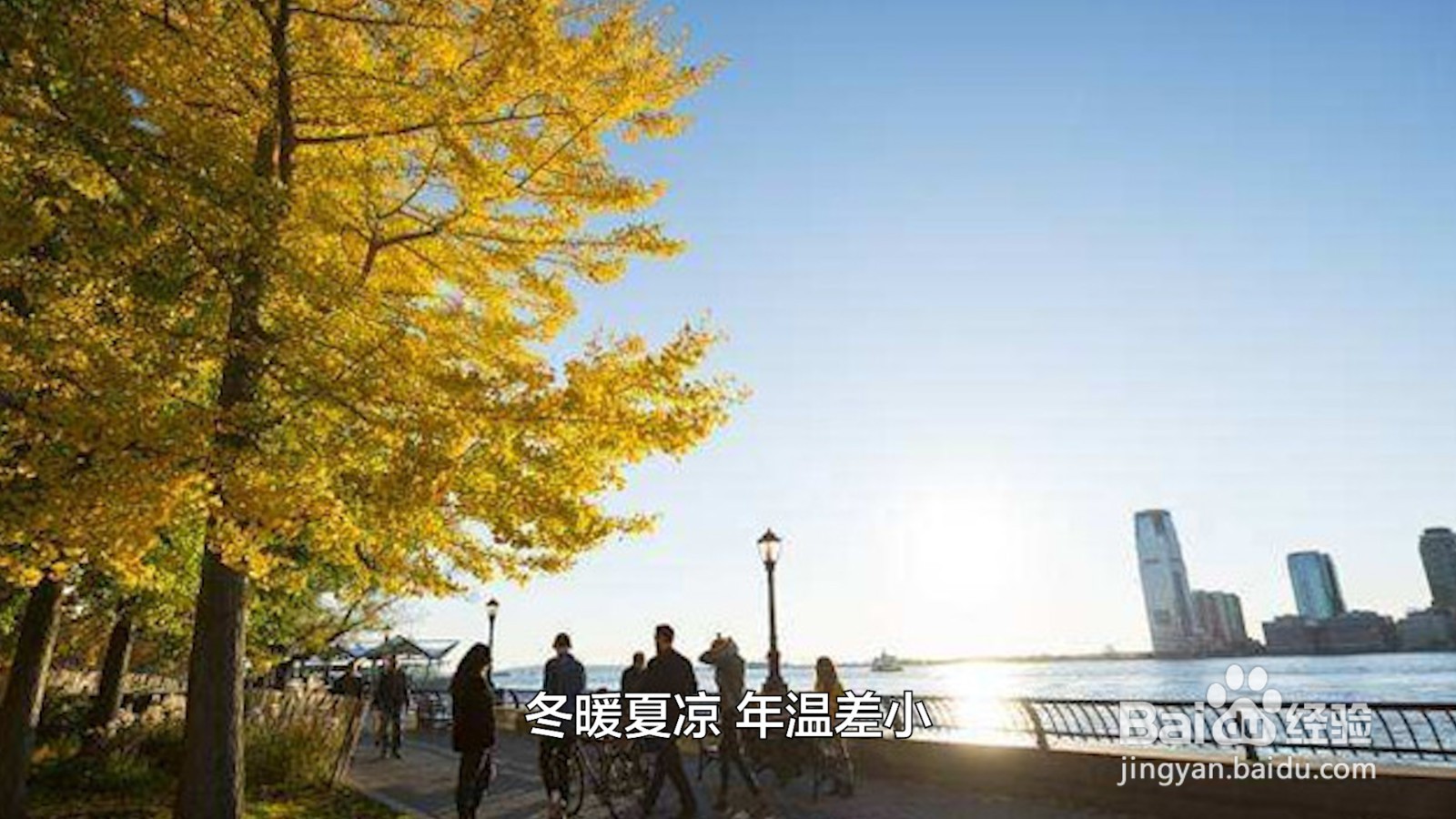 温带海洋性气候特点