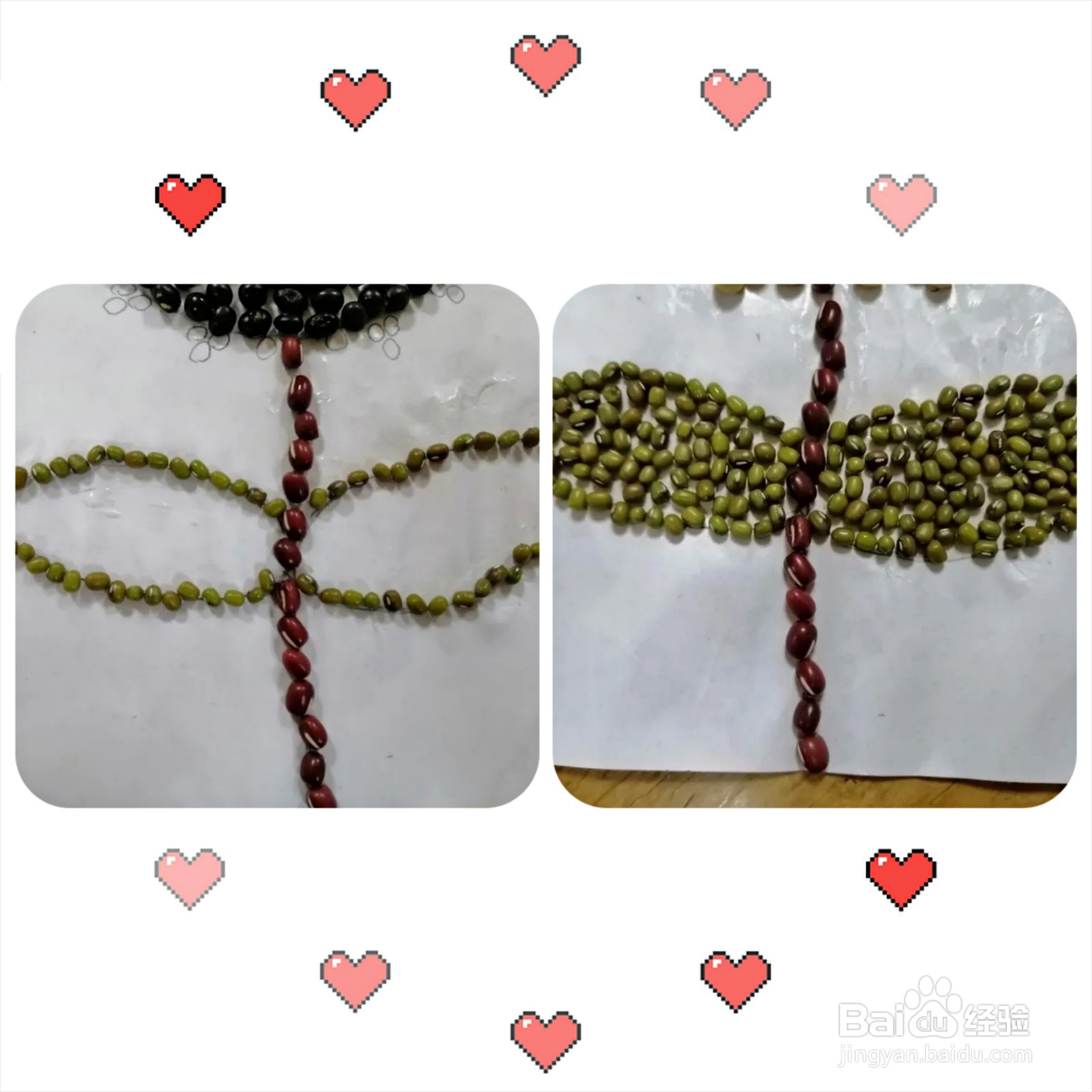 种子做的粘贴画怎么制作