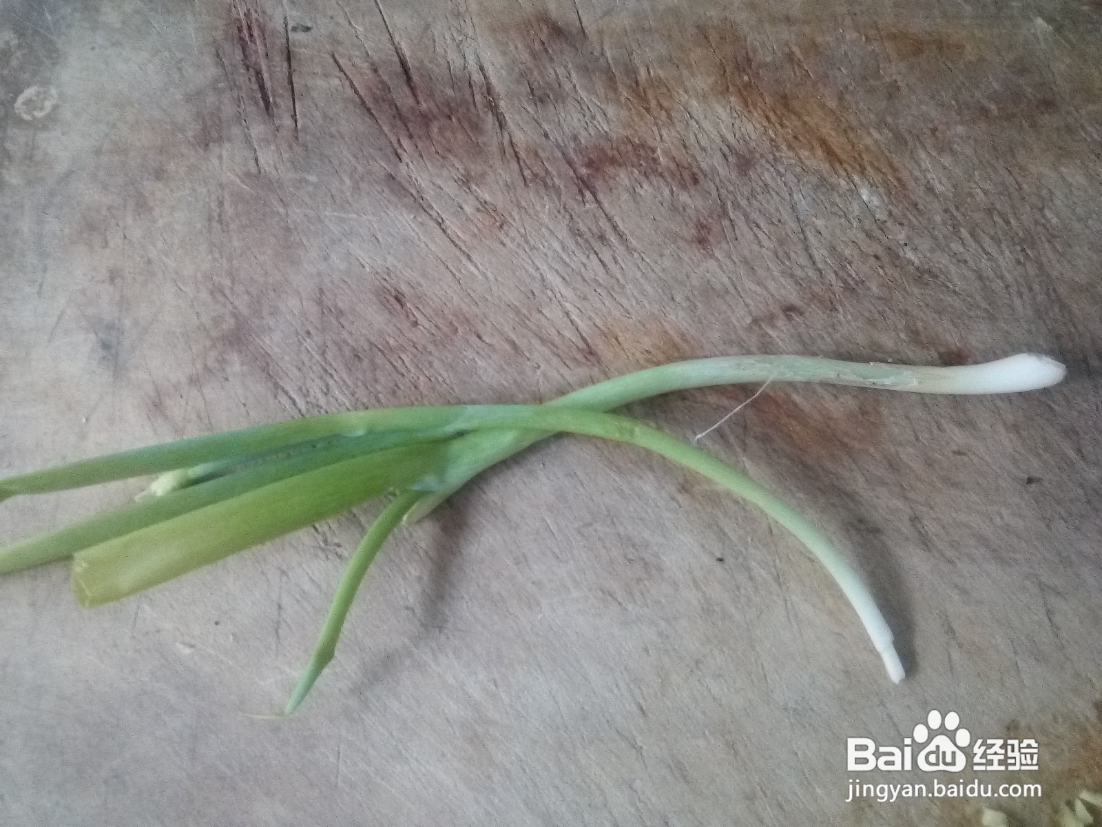 茼蒿鸡蛋干炒小肚