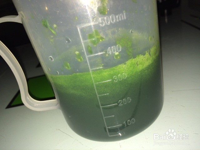 双色香菇饺子的做法