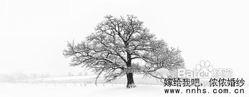 【摄影】领略世界风光