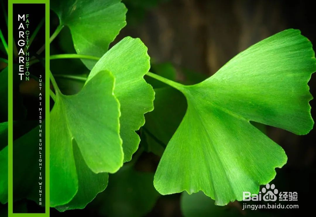 PS如何使用快速选择工具来制作迷你汽车