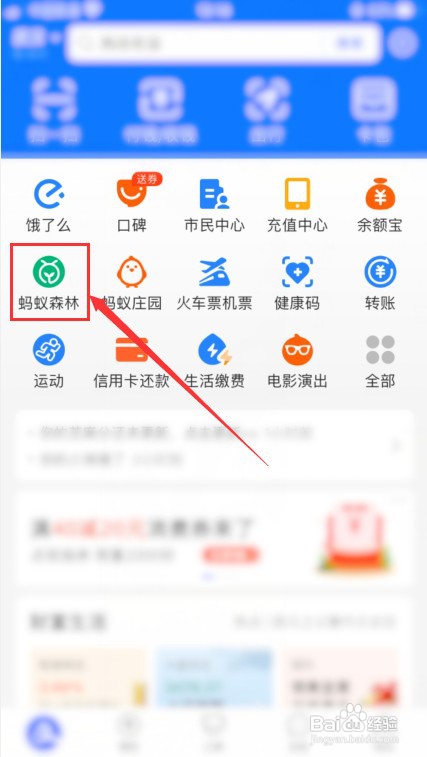 支付宝怎么查看碳足迹