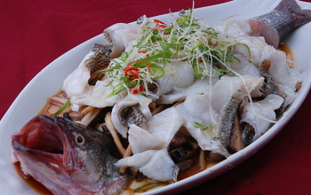 持续疲劳是怎么回事