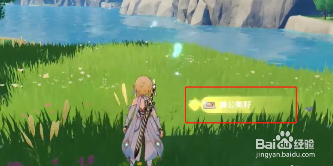 原神蒲公英籽怎么获得