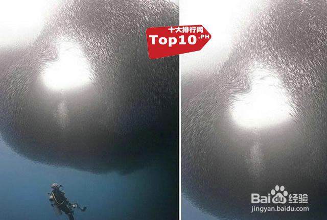 盘点十大奇葩有趣的心形物体