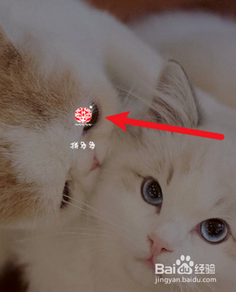 6.18优惠券怎么领