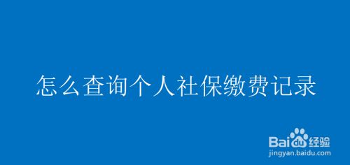 深圳社保明细怎么查询(社保明细怎么查询)