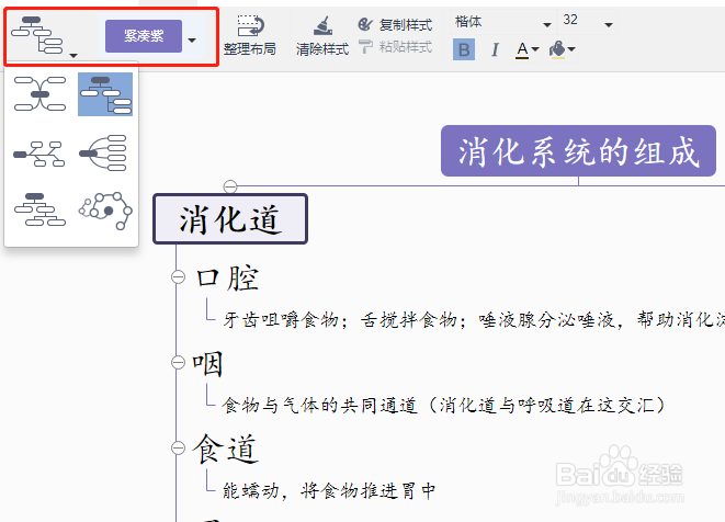 生物消化系统的组成思维导图怎样画