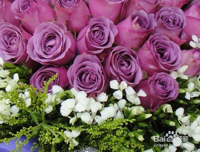 切花的延衰保鲜方法