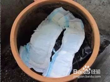 实用的5个养花小技巧