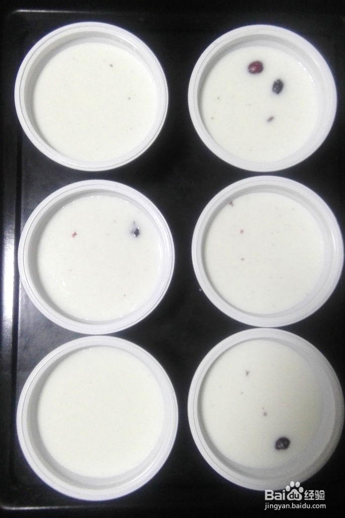 蔓越莓老酸奶的做法