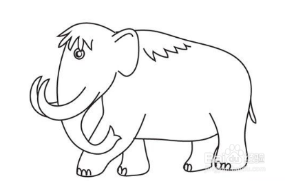 怎么画冰河世纪的动物猛犸象简笔画