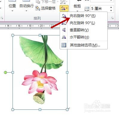 word中如何旋转图片以更正图片的角度？