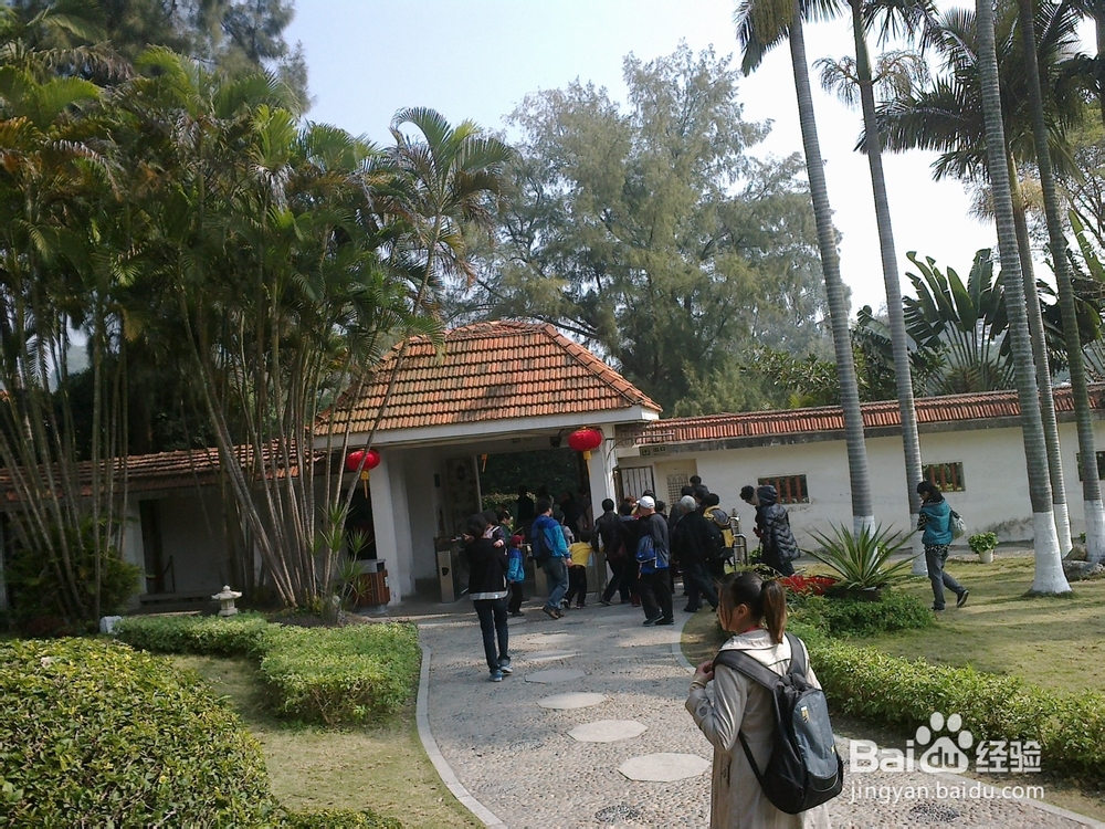 鼓浪屿旅游攻略之钢琴博物馆——世上最美的声音