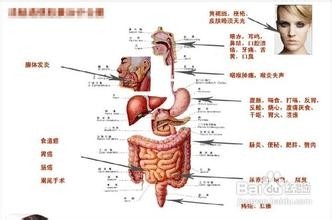 <b>十二正经中大肠经的走向和保养</b>