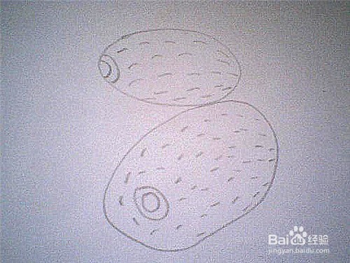 简笔画猕猴桃这样画