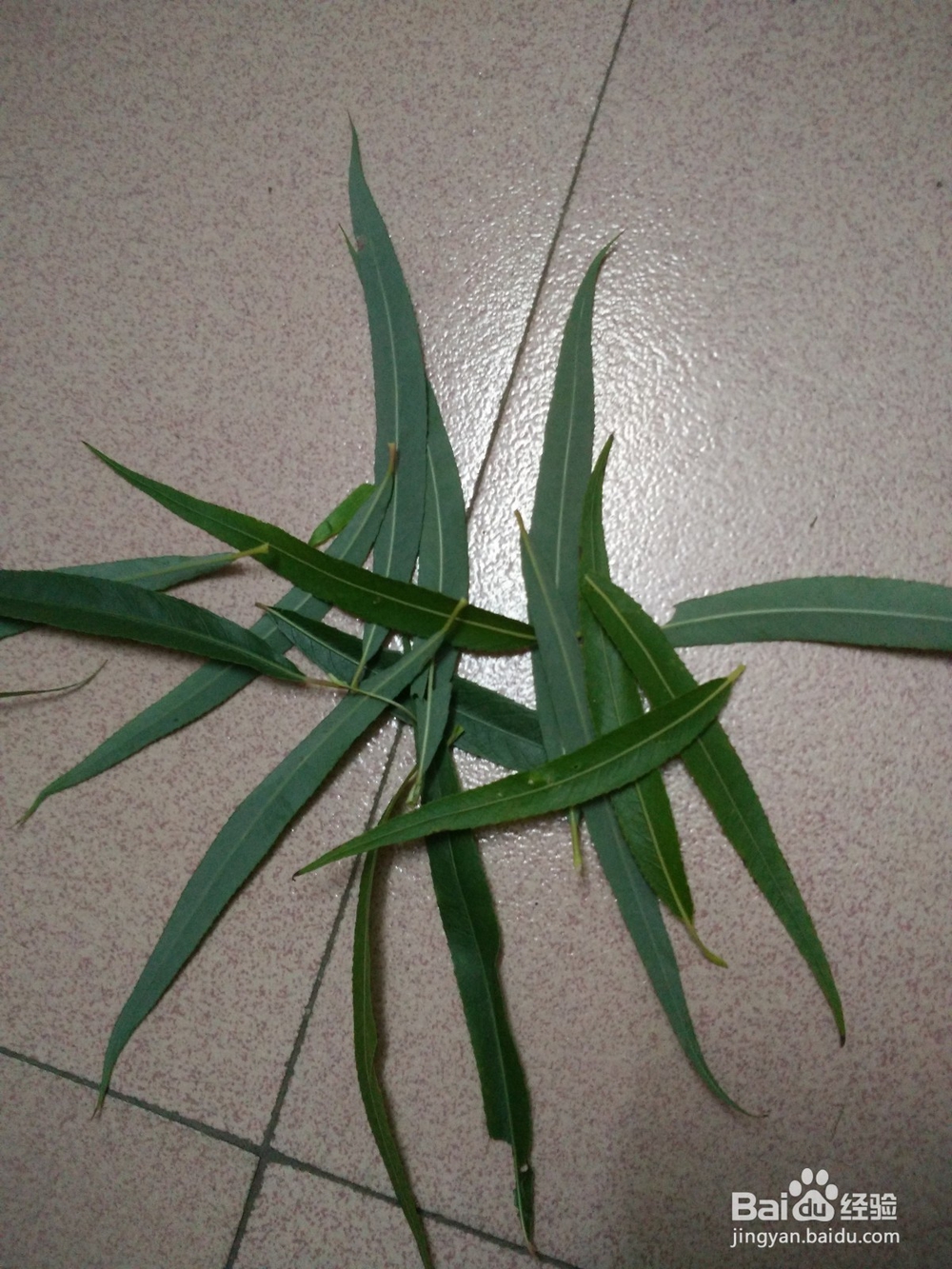 鲜花花圈制作方法